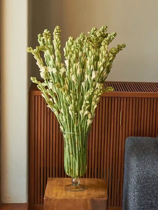 Rajnigandhas in a Vase