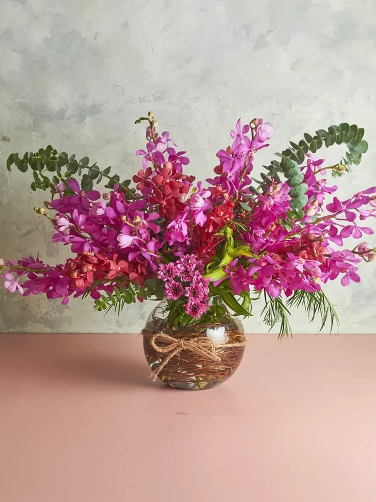 Bountiful - Image 1