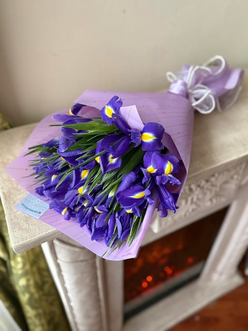Iris of My Heart 💜