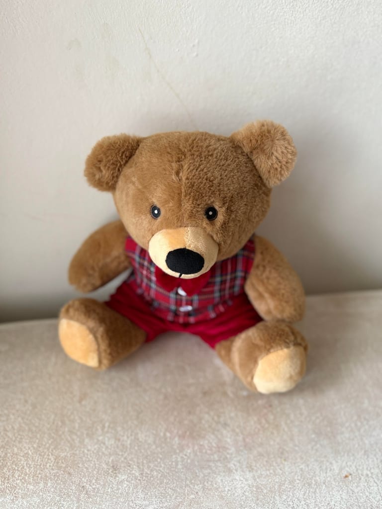 Charming Teddy bear 🧸 - Image 1