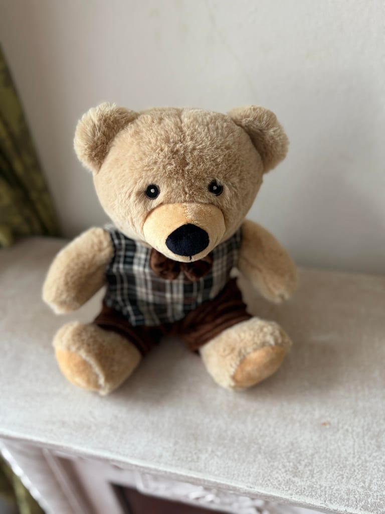 Charming Teddy bear 🧸 - Image 2