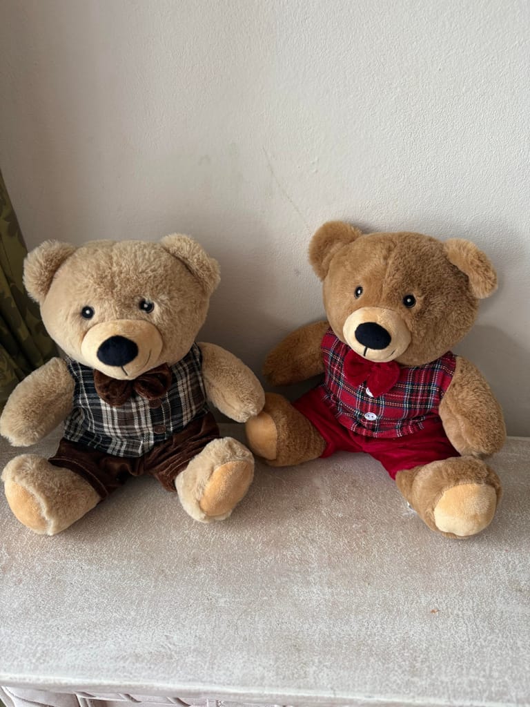 Charming Teddy bear 🧸 - Image 3