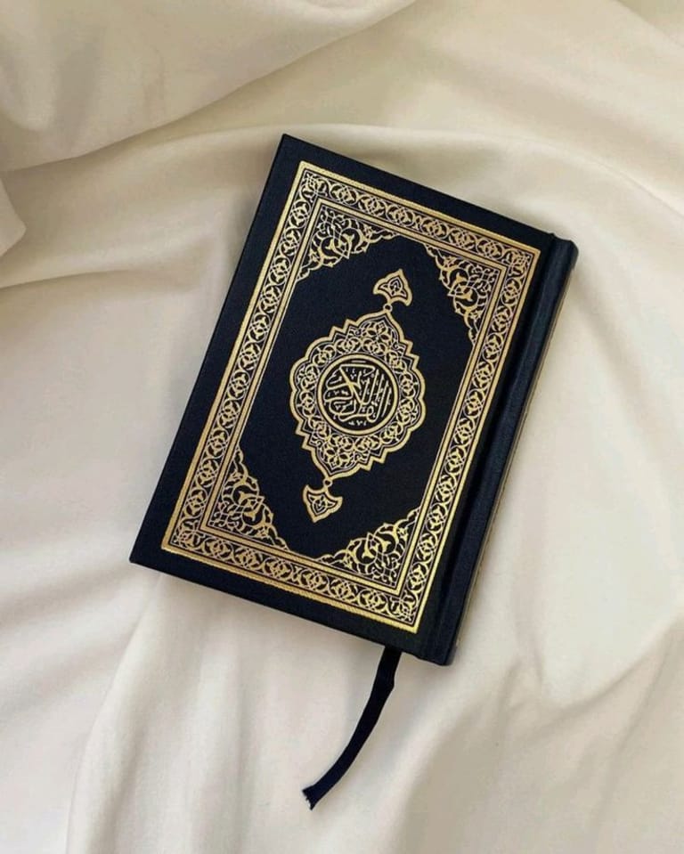  Quran with English Translation
