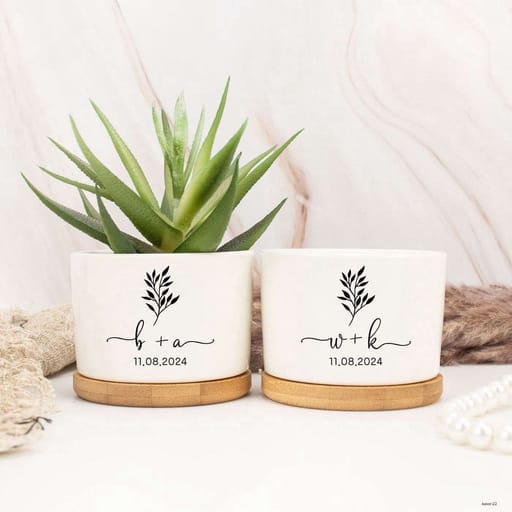 Indoor Plant in Personalized Pot