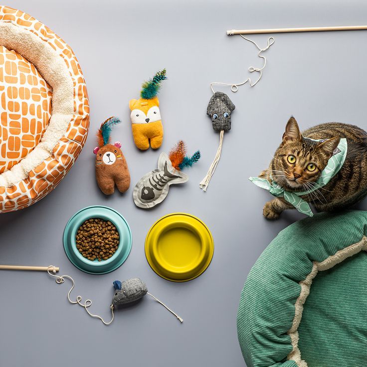 Top Useful Gift Ideas for Pet Lovers | Customized Gifts UAE