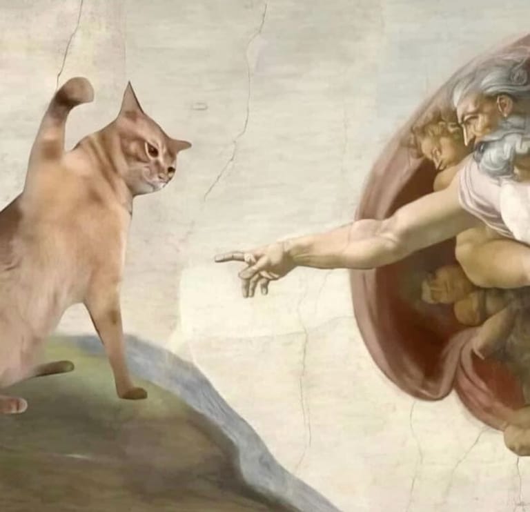 Gag Gifts That Are Actually Useful