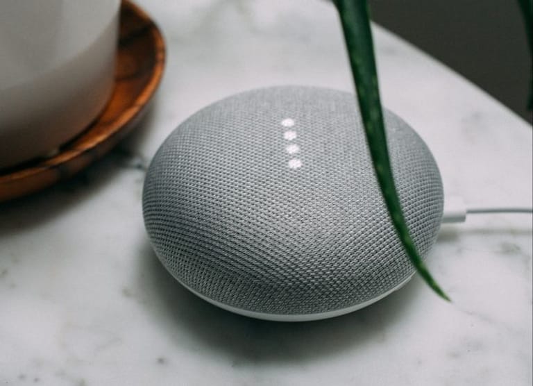 Digital Smart Assistant | Alexa or Google Nest