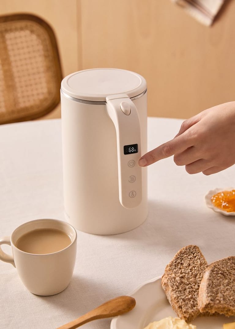 Electric Kettle with Temperature Control