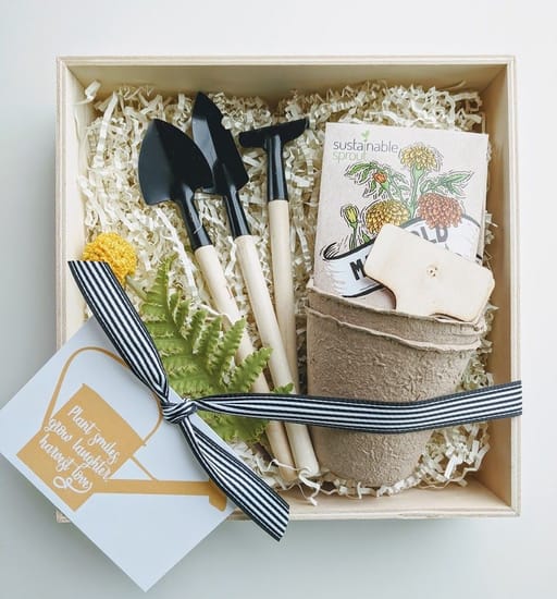  Indoor Herb Garden Kit