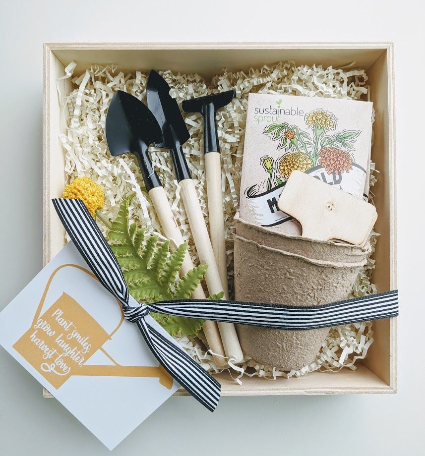 Indoor Herb Garden Kit