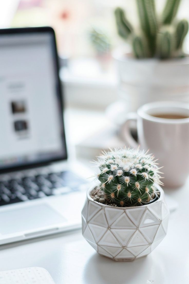 Desk Plant