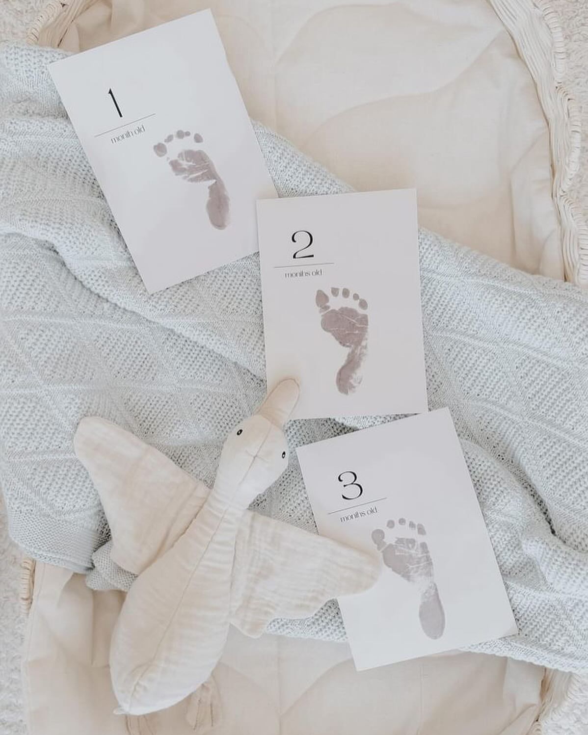  Baby Milestone Cards